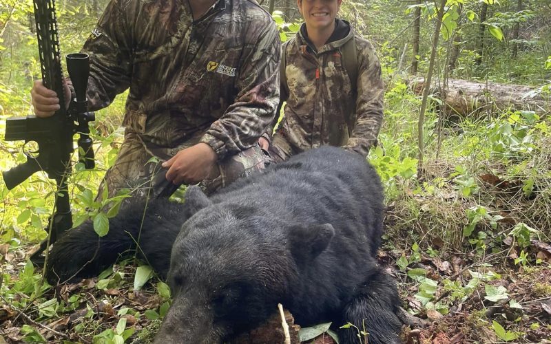 Black bear hunting at Wallace Lake Lodge