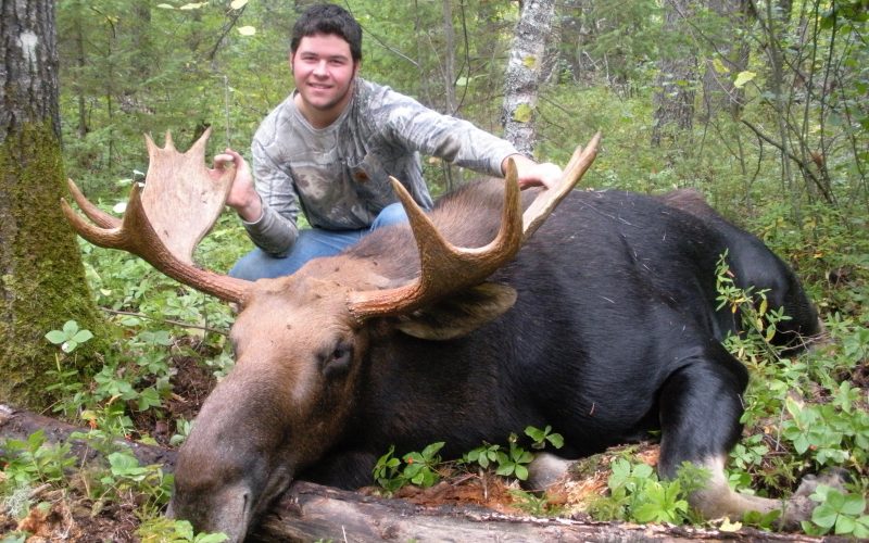 Moose hunting at Wallace Lake Lodge